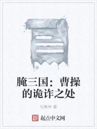 腌三国：曹cao的诡诈之处封面