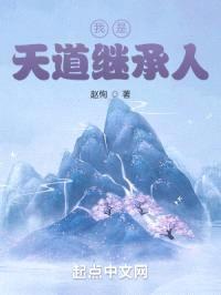 我是天道继承人封面