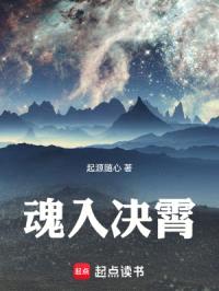 魂入决霄封面