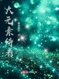 大元素侍者封面