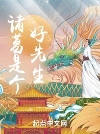 诸葛是个好先生封面