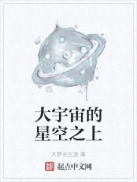 大宇宙的星空之上封面