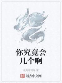 你究竟会几个啊封面