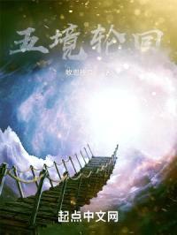 五境轮回封面