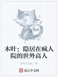 木叶：隐居在疯人院的世外高人封面