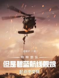 碧蓝航线之舰娘特种兵封面