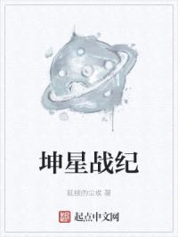 坤星战纪封面