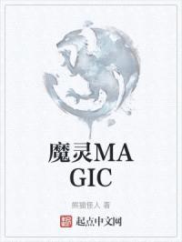 魔术师MAGIC封面