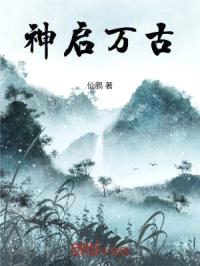神启万古封面
