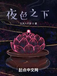 夜色之下封面