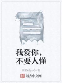 我爱你，不要人懂封面