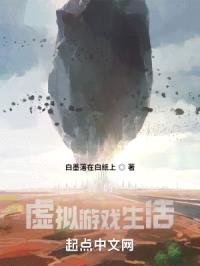 我的虚拟游戏生活封面