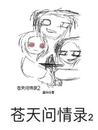 苍天问情录2封面