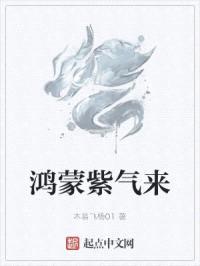 鸿蒙紫气来封面