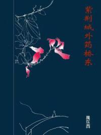 紫荆城外筠桥东封面