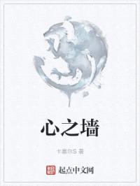 心之墙封面