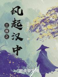 三国之风起汉中封面