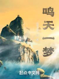 鸣天一梦封面