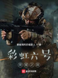 彩虹六号：荣耀之路封面