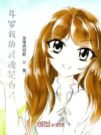 斗罗我的武魂是自己封面