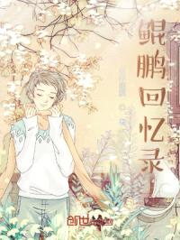 鲲鹏回忆录封面