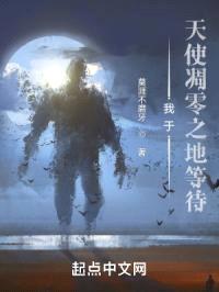 我于天使凋零之地等待封面