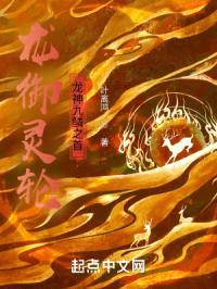 龙御灵轮：龙神九鳞之首封面