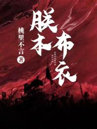 朕本布衣封面