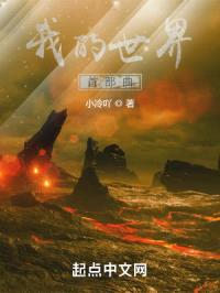 我的世界首部曲封面