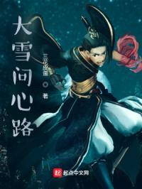 大雪问心路封面