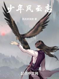 刀剑龙狼传封面