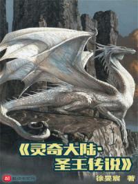 灵奇大陆圣王传说封面