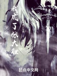 穿越：我成了张大胆？封面