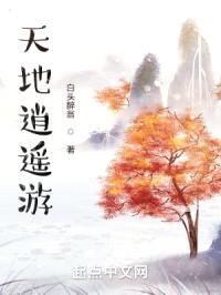 天地逍遥游封面