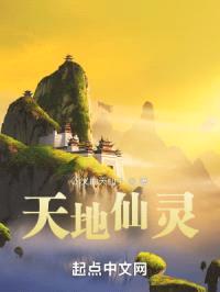 天地仙灵封面
