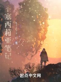 圣塞西莉亚生前笔记封面