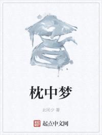 枕中梦封面