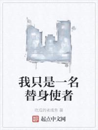 我只是一名替身使者封面