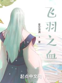 飞羽之血封面