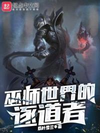 巫师世界的逐道者封面