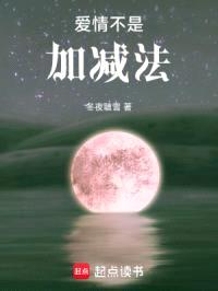 爱情不是加减法封面