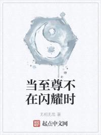 当至尊不在闪耀时封面