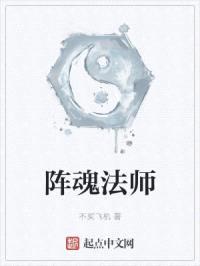 阵魂法师封面