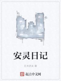 安灵日记封面