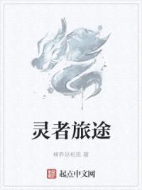 灵者旅途封面