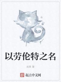 以劳伦特之名封面