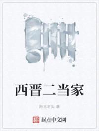 西晋二当家封面
