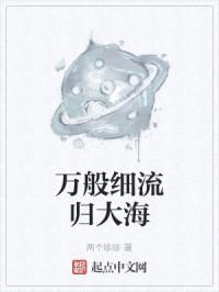 万般细流归大海封面